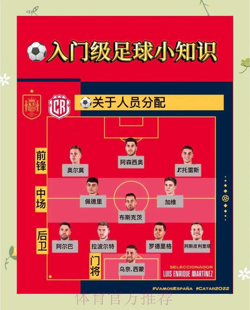 世界杯买球分析最佳技巧与策略